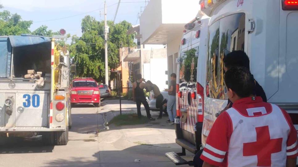 Cuatro menores resultan heridos tras ataque de abejas en Los Mochis; dos están graves