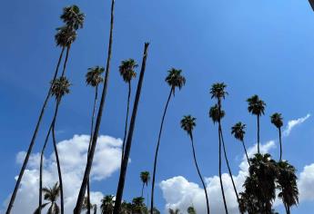 ¿Lloverá este fin de semana en Sinaloa? Así el clima para este 9,10 y 11 de agosto