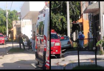 Muere niño en Los Mochis tras ser picado por más de 50 abejas; tenía 6 años