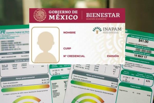 ¿Personas con INAPAM tienen descuento en el recibo de luz de la CFE?