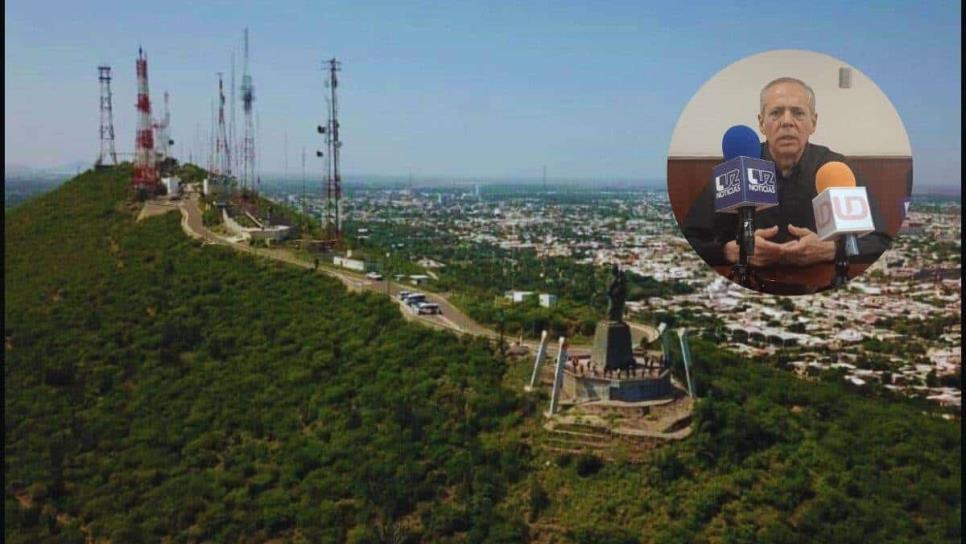 ¡El colmo! Se roban los árboles recién plantados en el Cerro de la Memoria