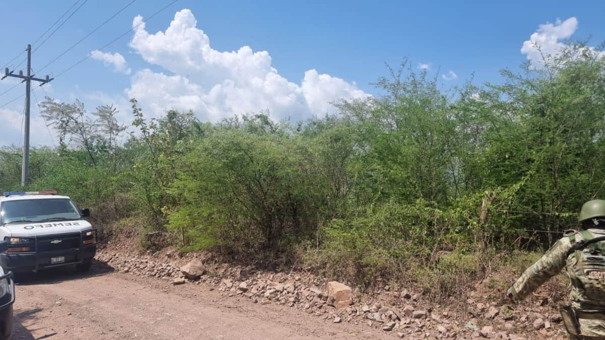 FOTO: Luis Ramírez.