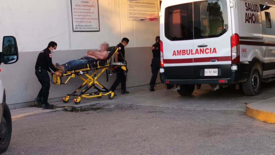 Cuatro lesionados tras ataque de abejas en un expendio de cerveza en Higuera de Zaragoza