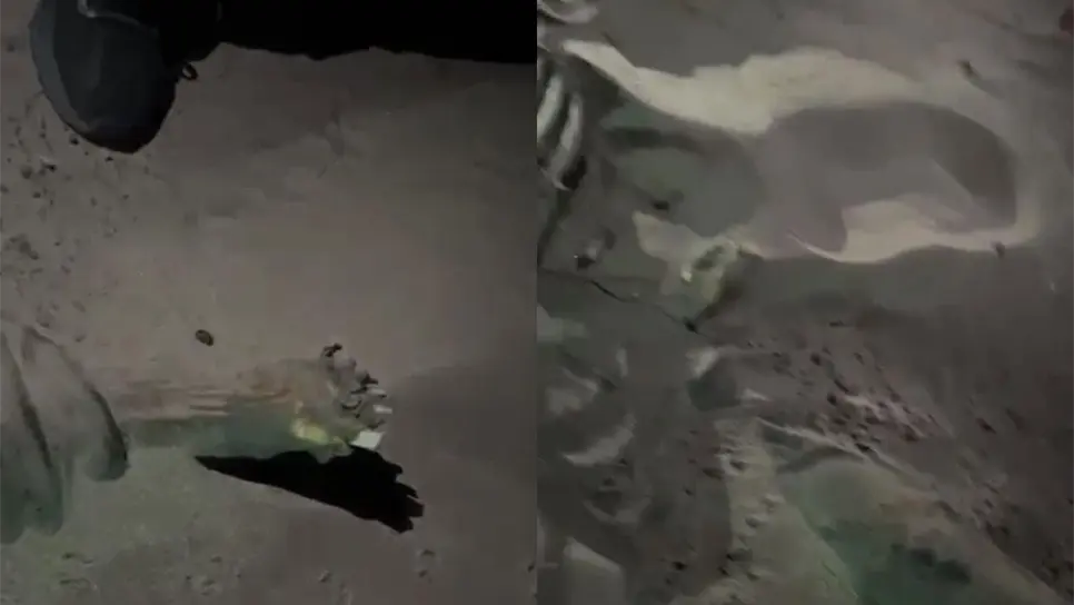 Los restos fueron trasladados al anfiteatro. FOTO: Cortesía