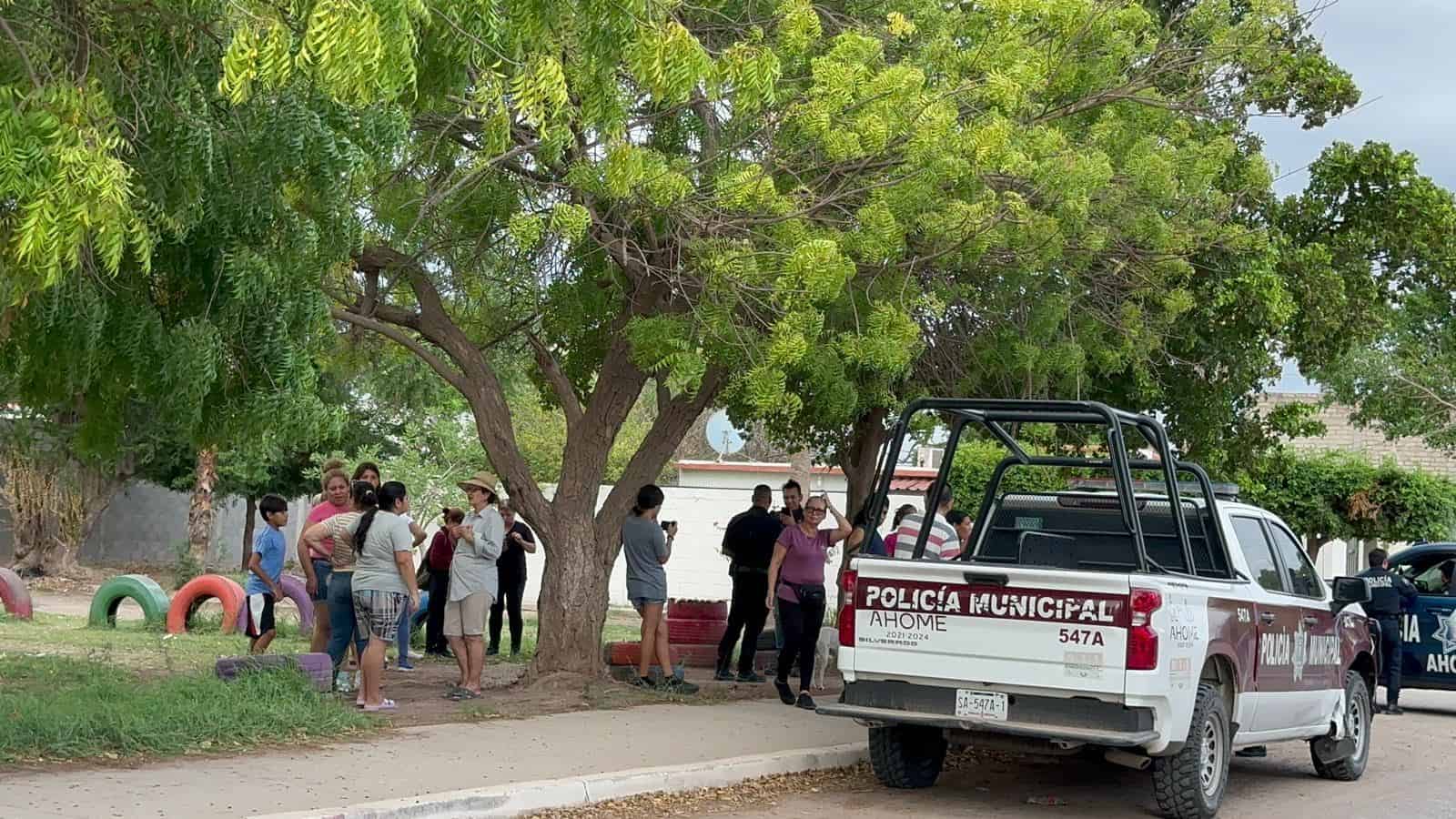 FOTO: Solares enmontados.