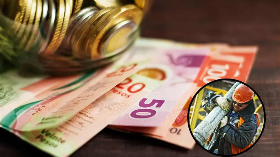 Foto: Freepik/Pexels