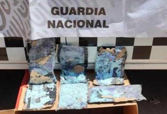 Aseguran 10 mil pastillas de fentanilo en una montura para caballo en Culiacán