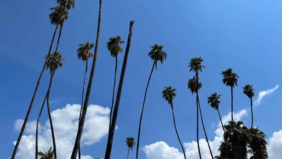 ¡Calor, calor y más calor! Clima en Los Mochis este jueves, 22 de agosto