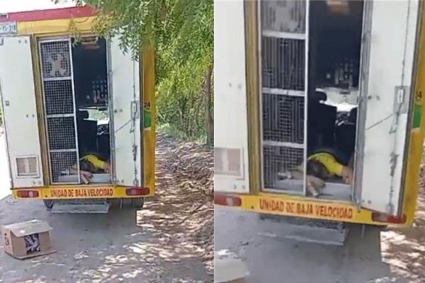 "No fue autorobo y sí me golpearon con un bat", dice joven que denunció asalto en Los Mochis