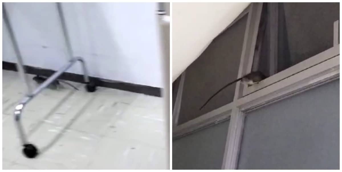 FOTO: capturas del video.