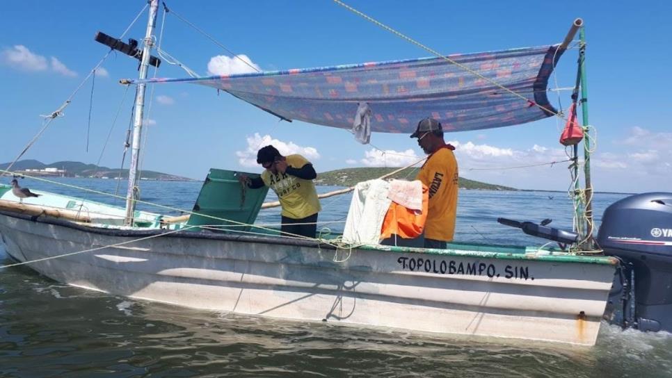 Antes de octubre se pagará el BienPesca en Sinaloa