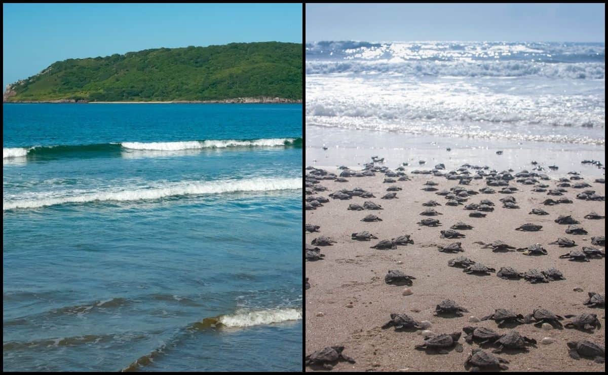 Estas son las playas más escondidas de Mazatlán que no sabías que existían