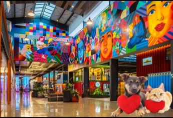 Esta plaza de Culiacán es la más grande y además es “pet friendly” | VIDEO