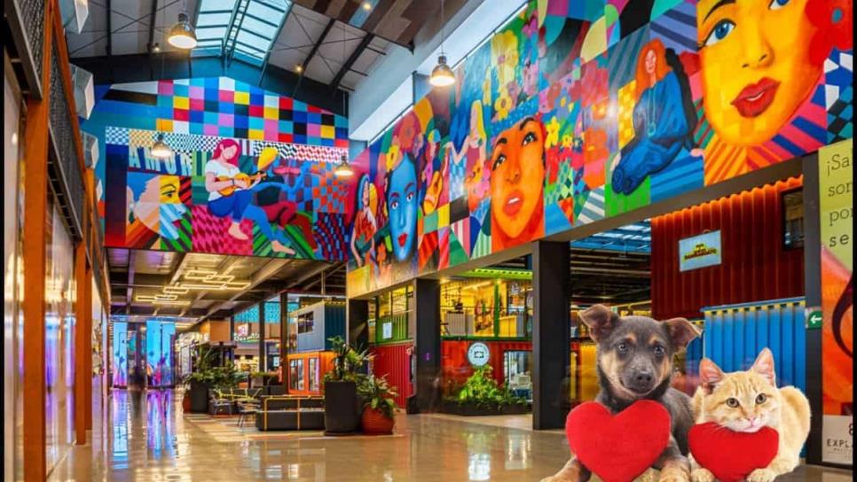 Esta plaza de Culiacán es la más grande y además es “pet friendly” | VIDEO