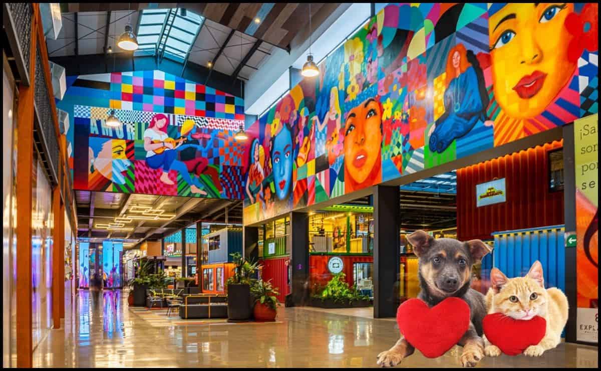 Esta plaza de Culiacán es la más grande y además es “pet friendly” | VIDEO