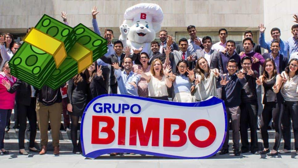 Bimbo ofrece una vacante con sueldo de más de 30 mil pesos, ¿Cuáles son los requisitos? 