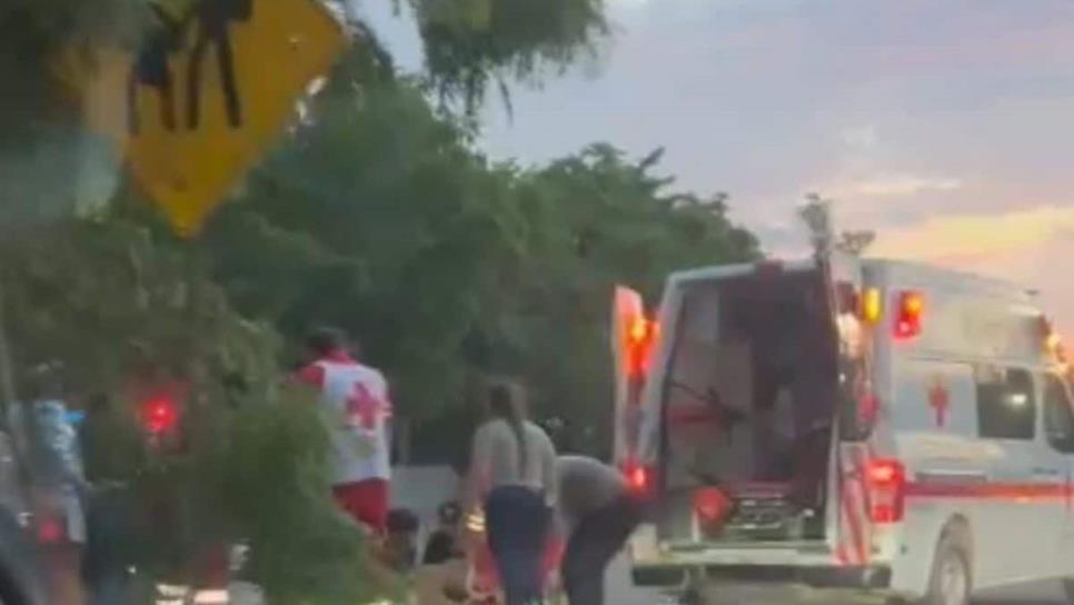 Hombre se estrella contra un árbol y un poste de luz en la carretera a Navolato