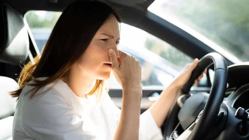 ¿Cómo quitar el olor a cigarro en el auto? Sigue estos tips