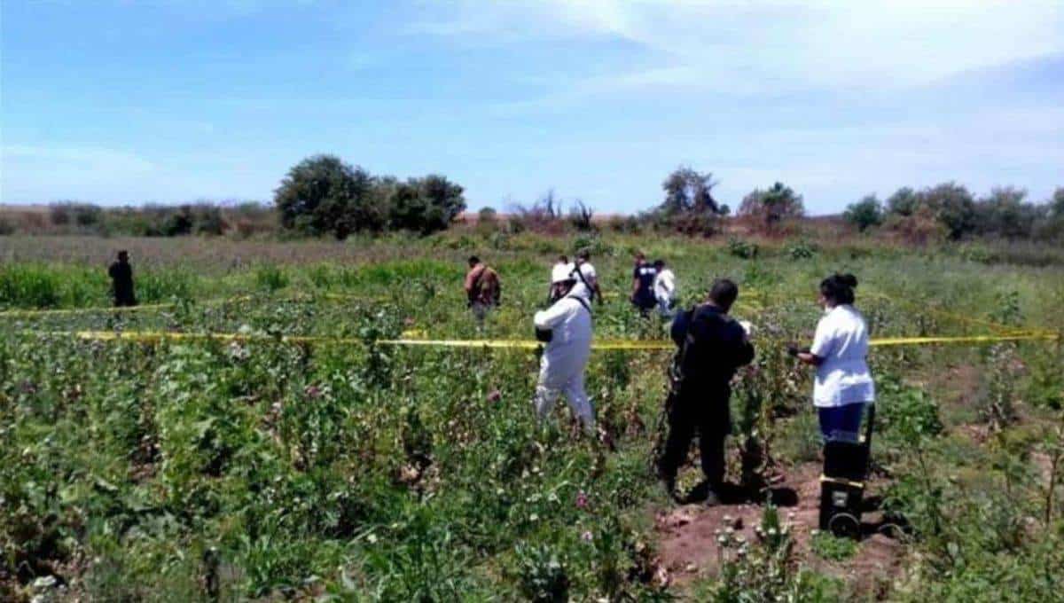 Los hechos ocurrieron hace cuatro años. FOTO: Luz Noticias