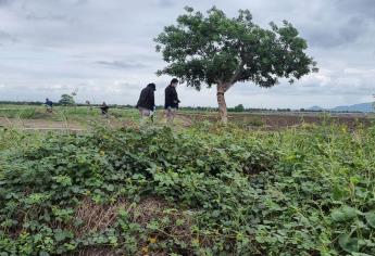 Identifican a joven asesinado en Costa Rica, Culiacán