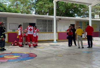 Abejas atacan a niños mientras jugaban en el receso en kínder de Mazatlán 