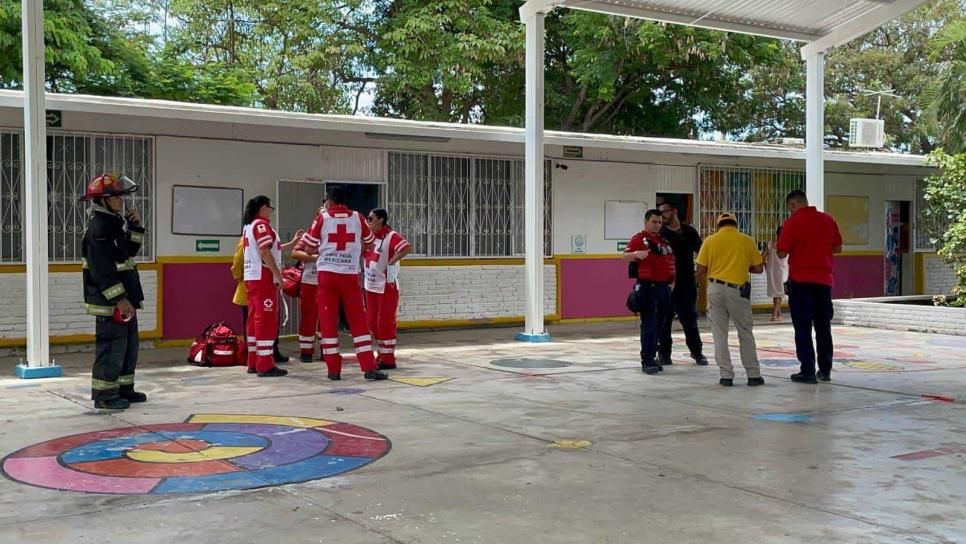 Abejas atacan a niños mientras jugaban en el receso en kínder de Mazatlán 