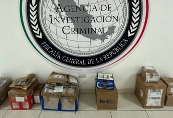 FGR asegura mariguana y 623 vapeadores en Los Mochis 