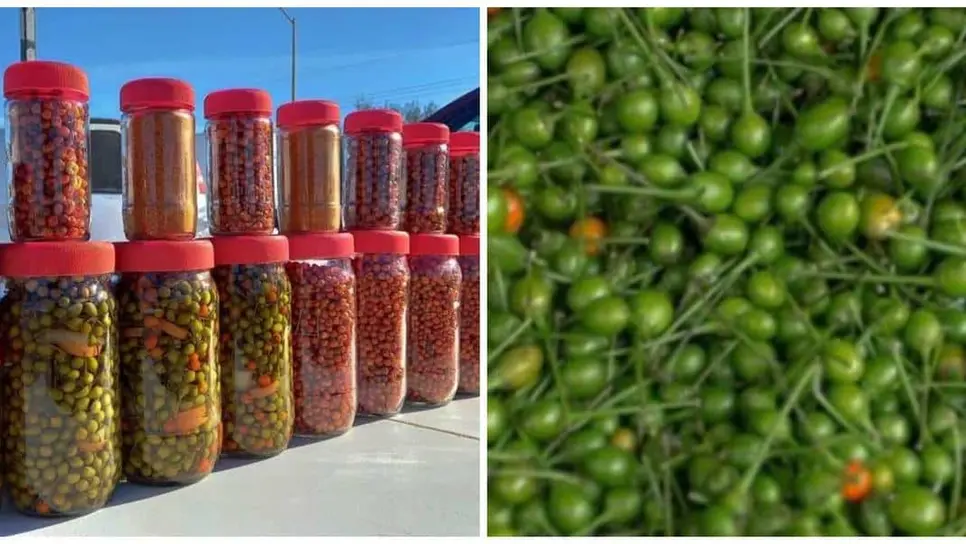 FOTO: Chile Chiltepín.
