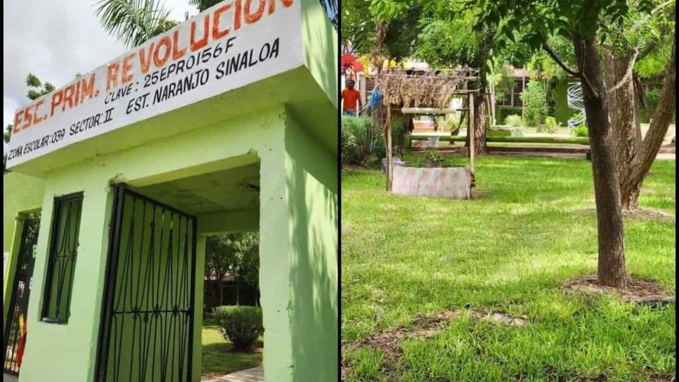 ¿Sabías que hay un lugar en Sinaloa donde el termómetro baja 2 grados centígrados? Conoce la Escuela Verde