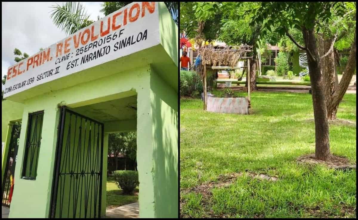 ¿Sabías que hay un lugar en Sinaloa donde el termómetro baja 2 grados centígrados? Conoce la Escuela Verde