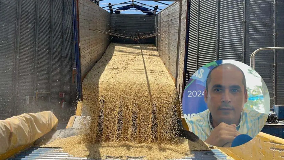 El pago es de 750 pesos por tonelada. FOTO: Luz Noticias