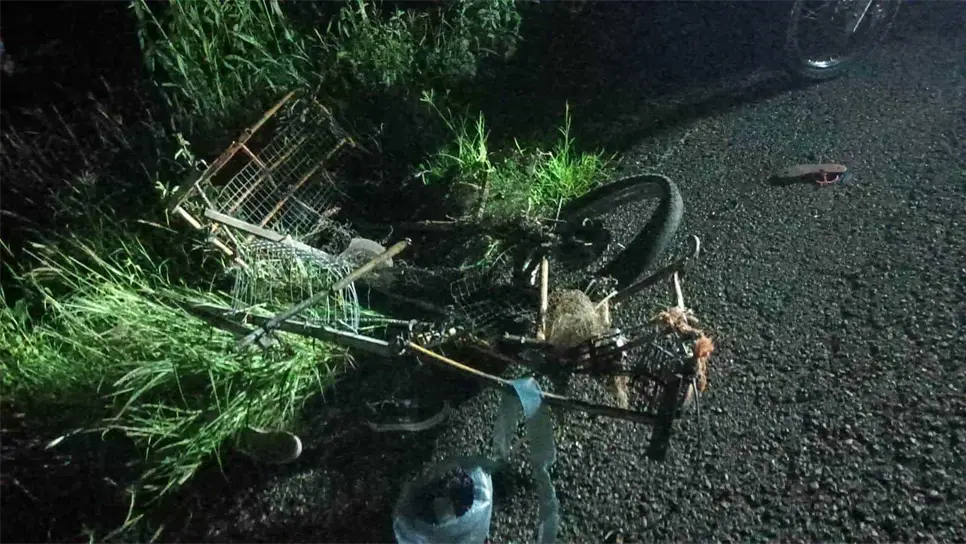 FOTO: Luis Ramírez.