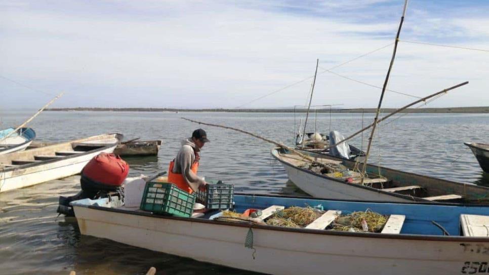 Bienpesca Sinaloa se pagará en septiembre 