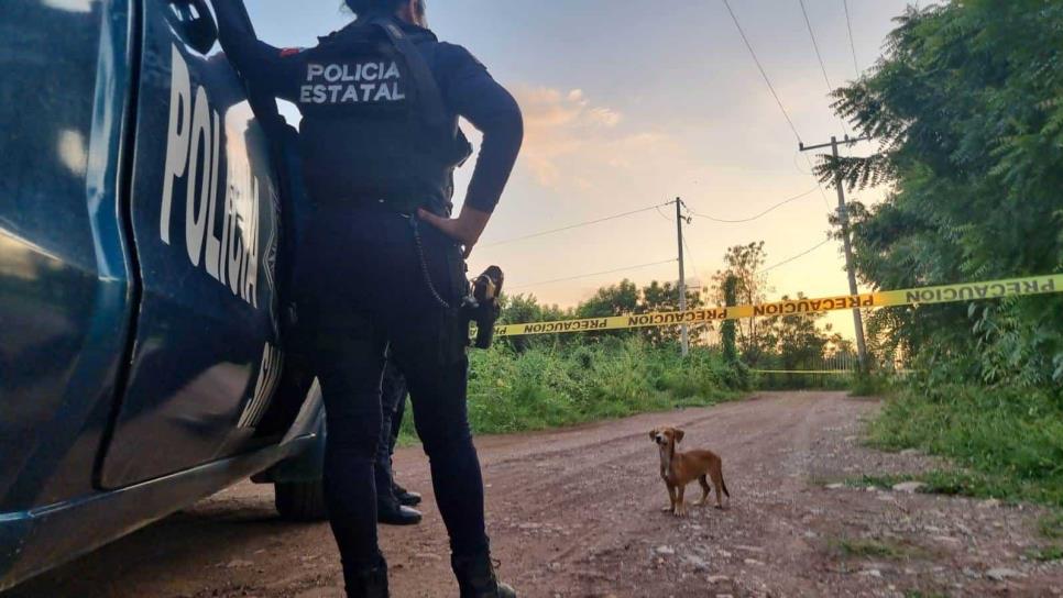 Asesinan a golpes a un desconocido en la zona sur de Culiacán