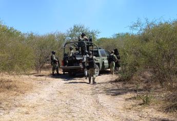 Guardia Nacional y policías realizan operativo de seguridad en la sierra de El Rosario