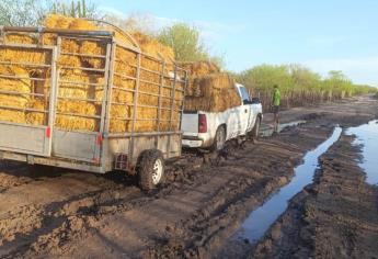 Incomunicados El Sabinito, El Reparo y El Rodeo por caudal del arroyo Álamos