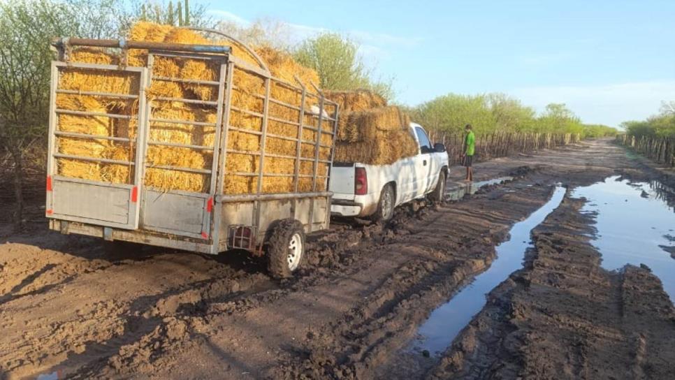 Incomunicados El Sabinito, El Reparo y El Rodeo por caudal del arroyo Álamos