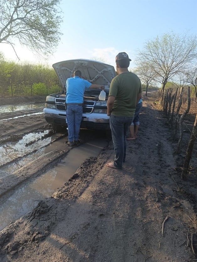 Imagen Placeholder Imagen Placeholder