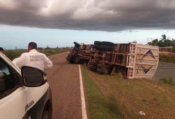 Vuelca torton cargado con 18 toneladas de maíz cerca de Cuatro Milpas, El Fuerte