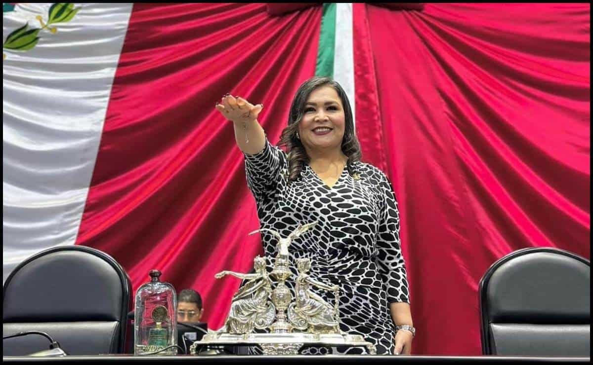 Como Diputada Federal buscaré que Sinaloa tenga buen presupuesto en 2025: Ana Ayala