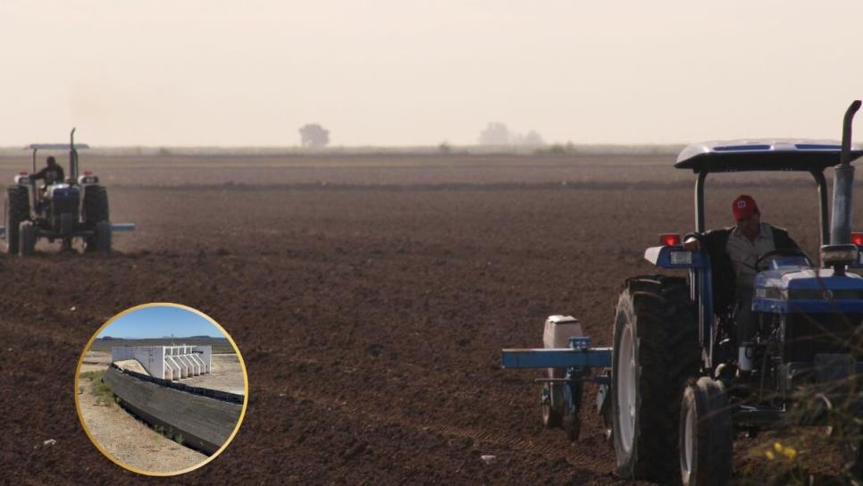 Inicia ciclo agrícola 2024-2025 en Sinaloa sin agua suficiente en las presas