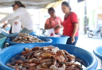 En este lugar de Mazatlán siempre hay camarón en venta y de la mejor calidad 