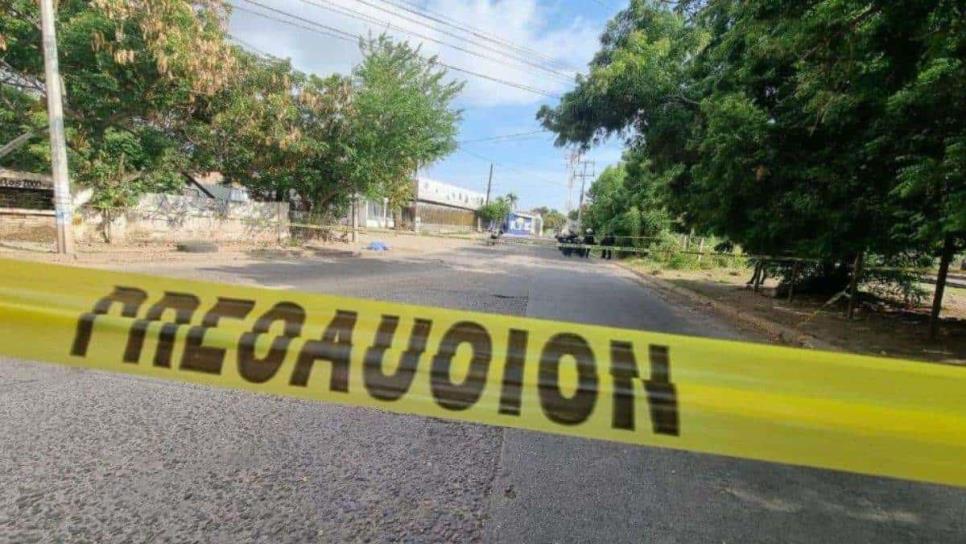 Sinaloa lleva 13 feminicidios en 2024, en las próximas horas podría incrementar a 16: Secretaría de las Mujeres 