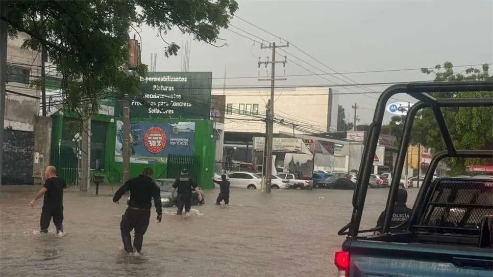 FOTO: Temática.