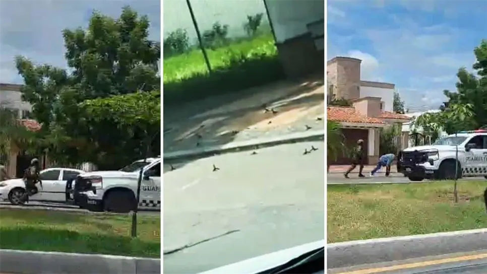 FOTO: Luis Ramírez.