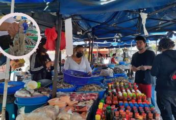 Las Changueras de Mazatlán, las reinas del mejor camarón en el Pacífico: ¿dónde se ubican?