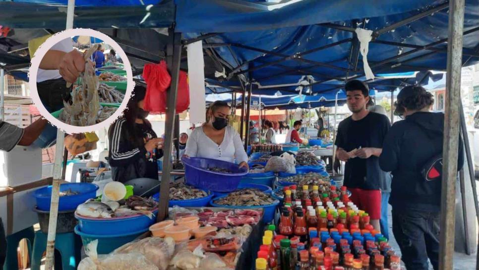 Las Changueras de Mazatlán, las reinas del mejor camarón en el Pacífico: ¿dónde se ubican?