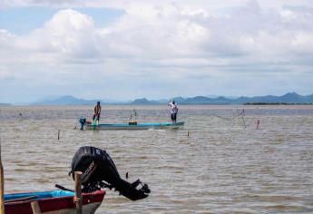 Pescadores del sur de Sinaloa entrarán en autoveda el 25 de septiembre