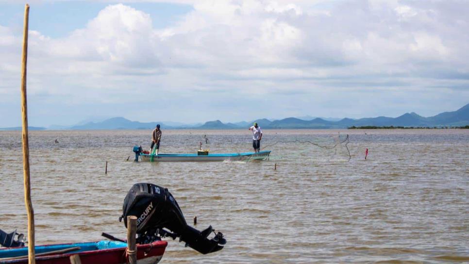 Pescadores del sur de Sinaloa entrarán en autoveda el 25 de septiembre