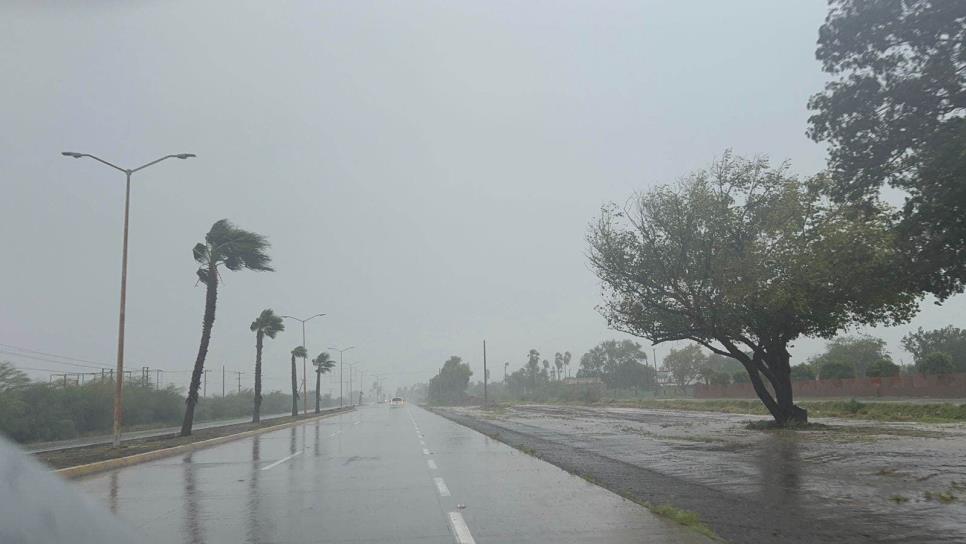 Contra todo pronóstico Ileana toca tierra en Sinaloa: Juan Espinoza